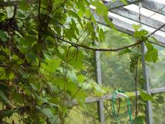 Monday July 11, 2011 17:55 - P1020697.JPG