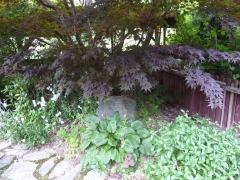 Monday July 11, 2011 17:59 - P1020705.JPG