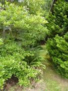 Monday July 11, 2011 18:00 - P1020707.JPG