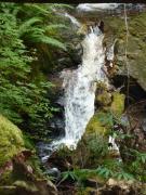 Tuesday July 12, 2011 14:35 - P1020719.JPG