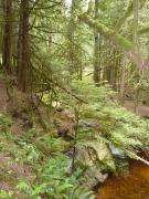 Tuesday July 12, 2011 14:38 - P1020723.JPG