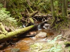 Tuesday July 12, 2011 14:41 - P1020724.JPG