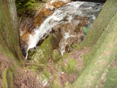 Tuesday July 12, 2011 14:42 - P1020725.JPG