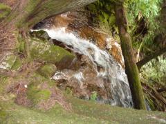 Tuesday July 12, 2011 14:42 - P1020726.JPG