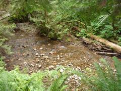 Tuesday July 12, 2011 14:47 - P1020729.JPG