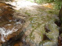 Tuesday July 12, 2011 15:06 - P1020731.JPG