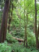 Sunday July 17, 2011 14:32 - P1020820.JPG